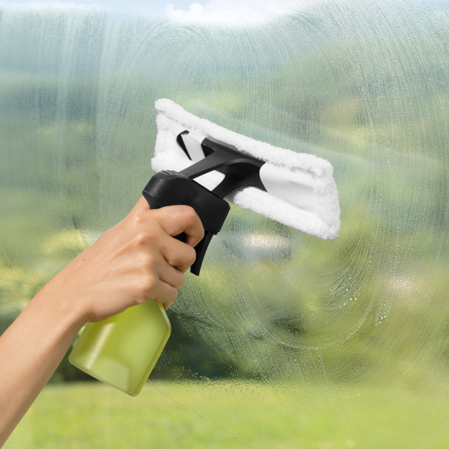 Karcher WV 2 Plus Window Vacuum Cleaner