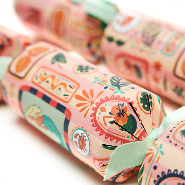 Holly & Ivy Boutique Tropical Mermaid Crackers, Pack of 6
