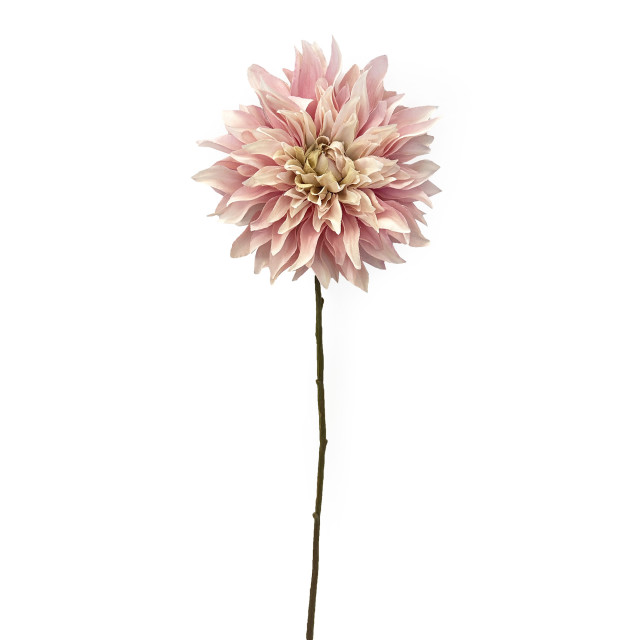 Humble & Mash Dahlia Spray 55cm Pink Faux Plant