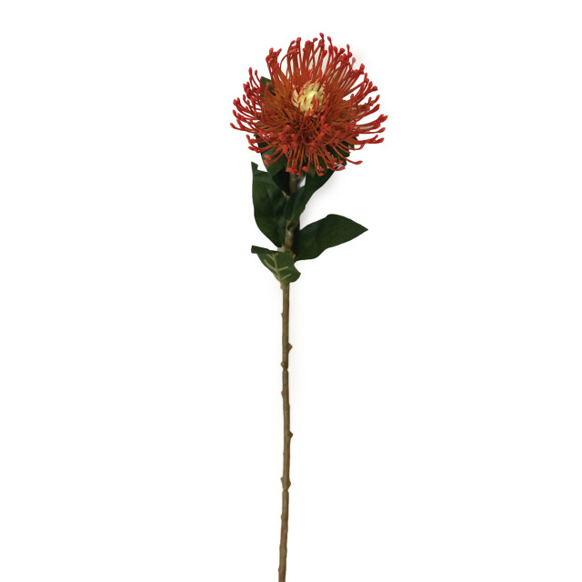 Humble & Mash Pincushion 73cm Orange Faux Plant