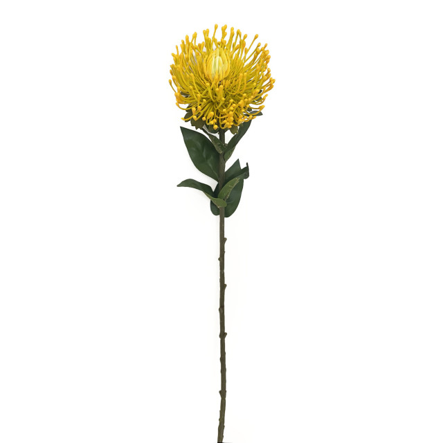Humble & Mash Pincushion 73cm Yellow Faux Plant