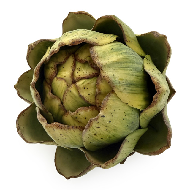 Humble & Mash Artichoke Faux Plant