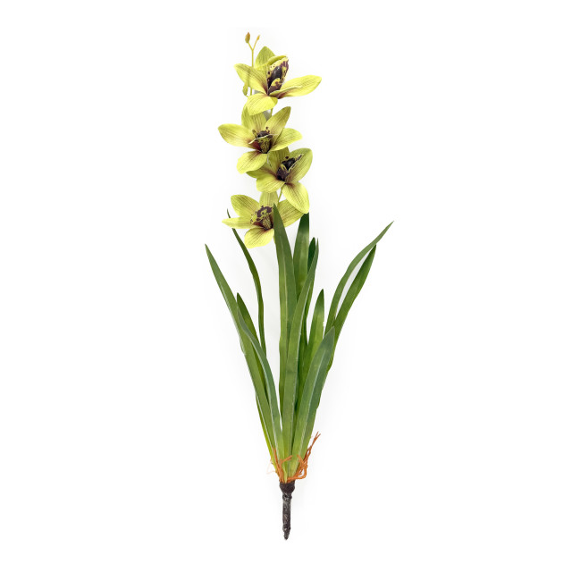 Humble & Mash Cymbidium Green Orchid 58cm Faux Plant