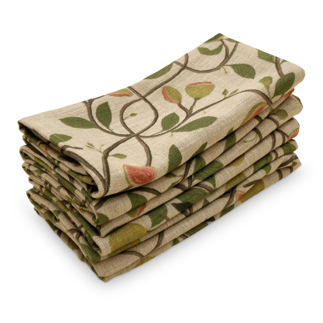 DSA Robyn Valerie Psilium Napkins, Set of 6