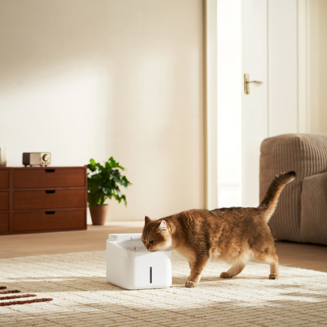 Xiaomi Smart Pet Fountain 2