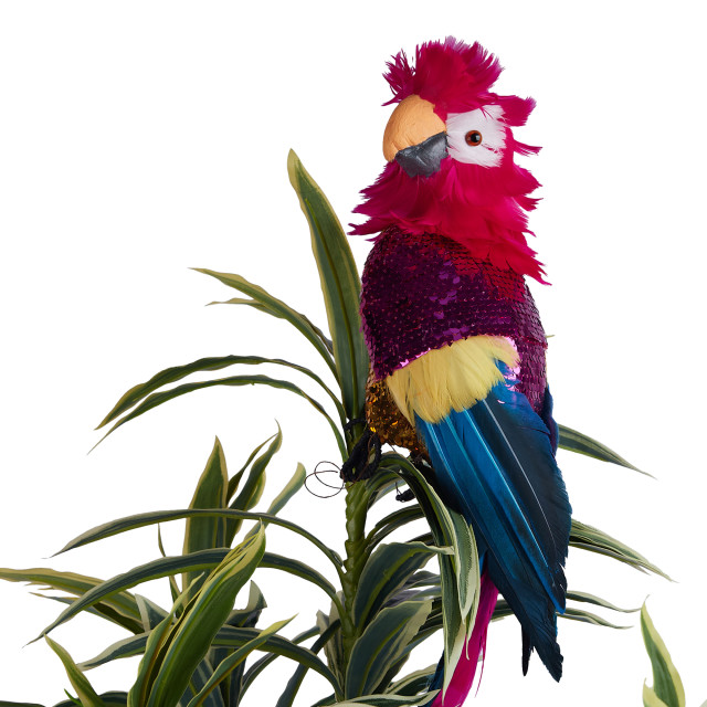 Humble & Mash Fun Parrot Tree Topper on plant