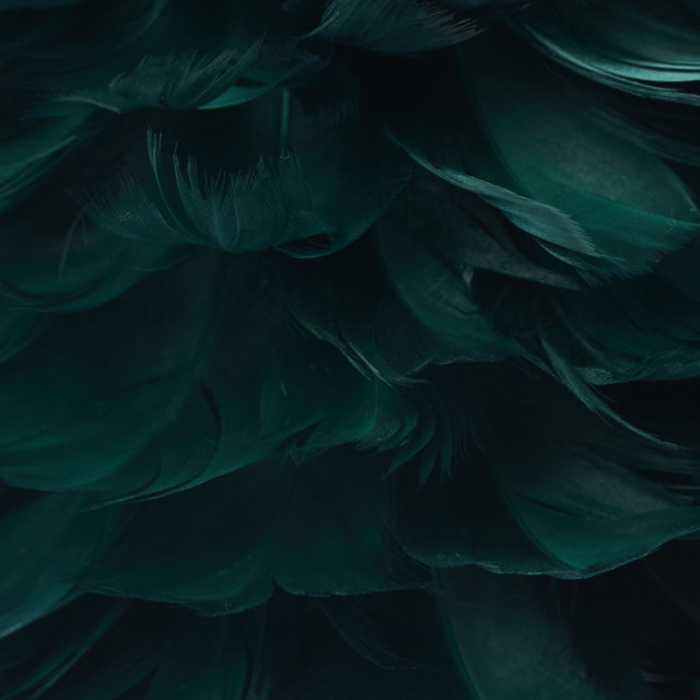 Humble & Mash Green Feather Tree