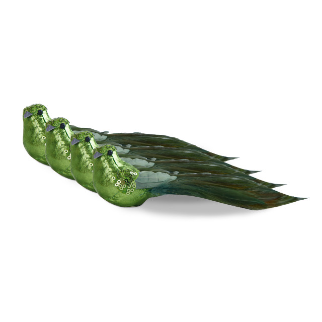 Humble & Mash Green Feather Bird Clips, Set Of 4