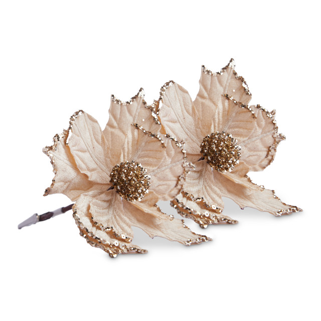 Humble & Mash Gold Poinsettia Flower, Set Of 2