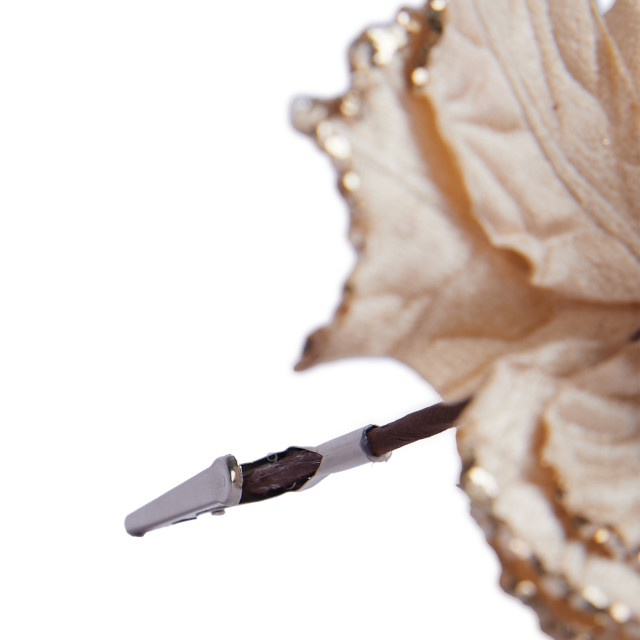 Humble & Mash Gold Poinsettia Flower, Set Of 2 clip close up