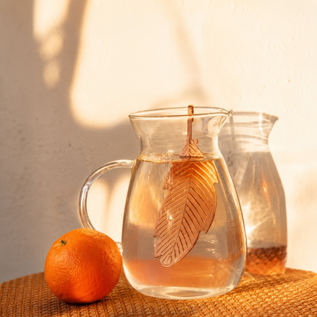 Forrest & Love Feather Copper Infuser