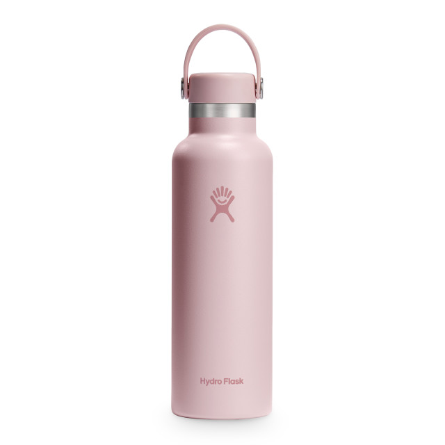 Hydro Flask Vacuum Insulated Standard Flex Cap Bottle, 620ml - Trillium 
