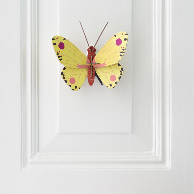 Studio ROOF Butterfly - Luzerne