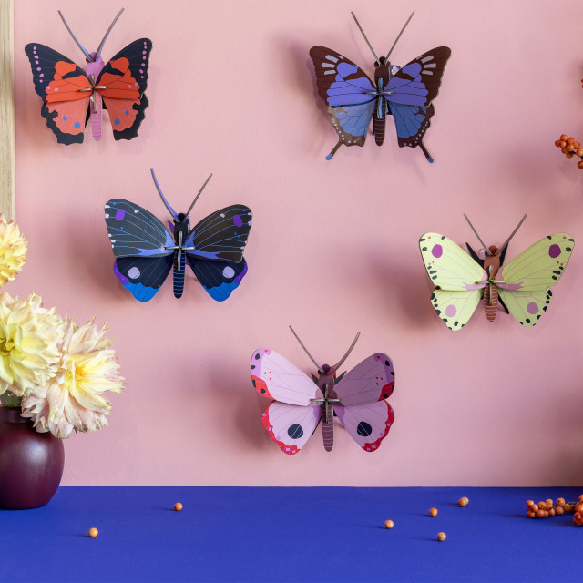 Studio ROOF Butterfly - Luzerne