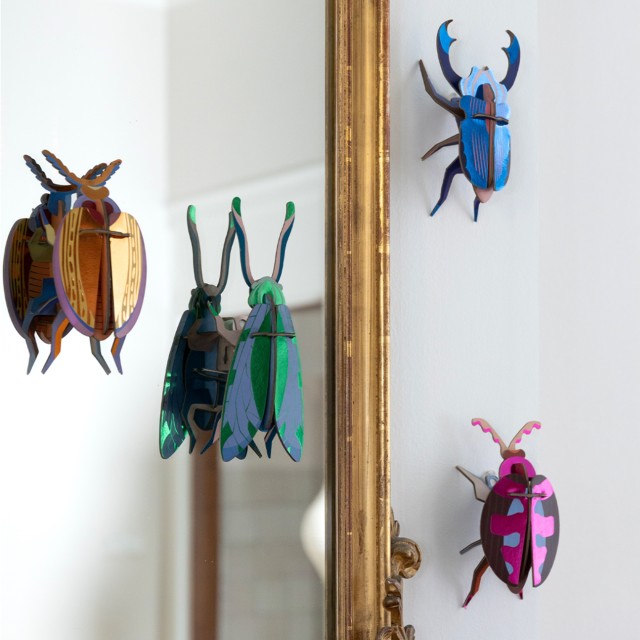 Studio ROOF Beetle - Lumen Pink