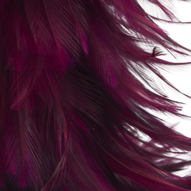 Humble & Mash Red Feather Tree