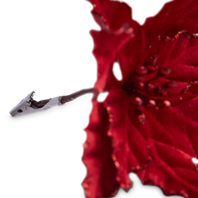 Humble & Mash Red Poinsettia Flower, Set Of 2 clip