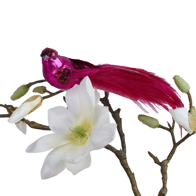 Humble & Mash Pink Feather Bird Clips, Set Of 4 on plant