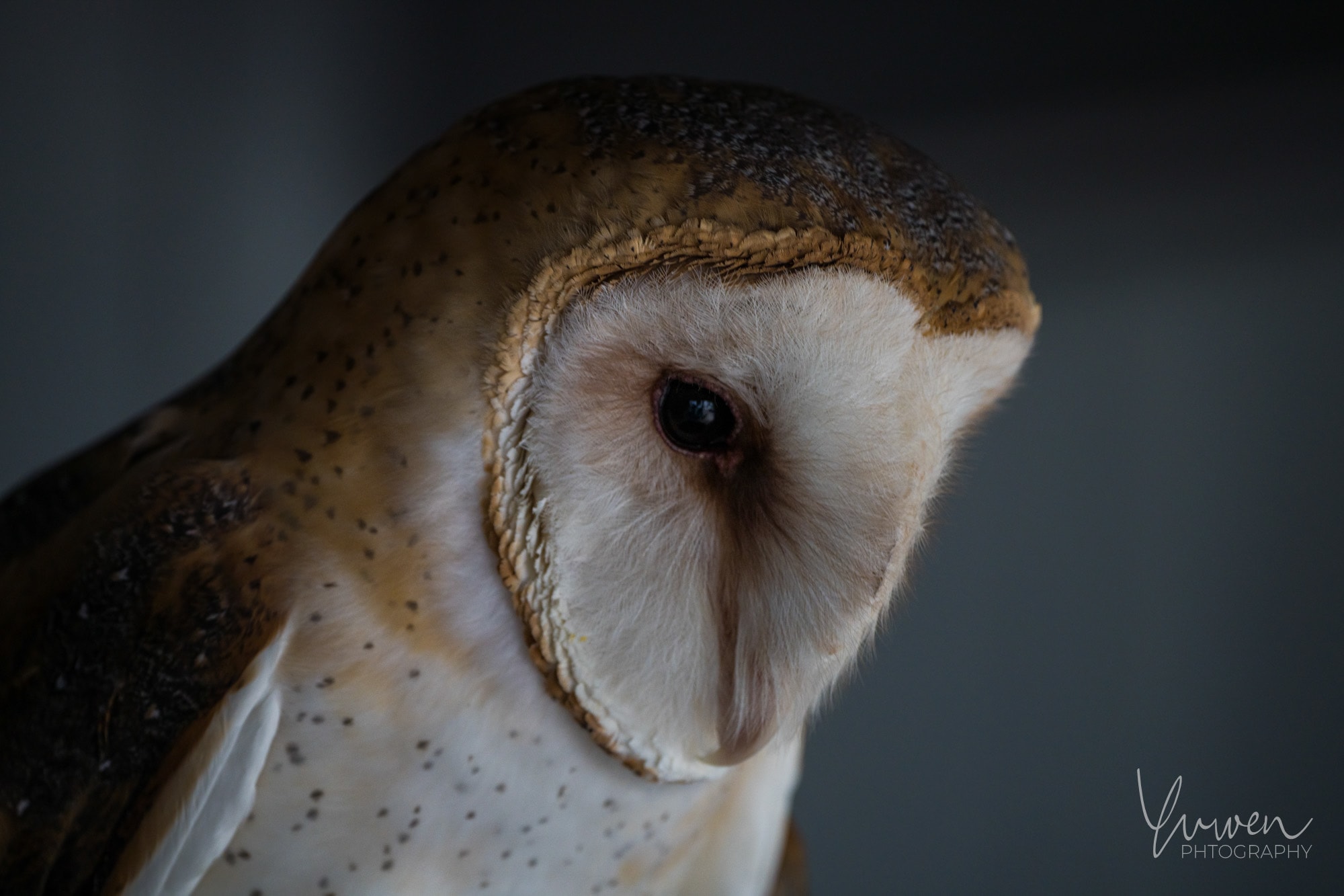 1/200 sec at f/5.6, ISO 640
400MM