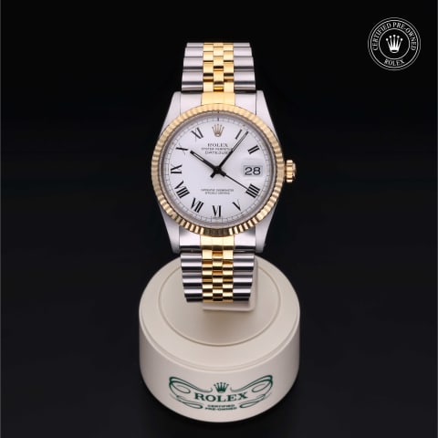 Oyster Perpetual  Datejust 36