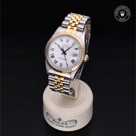 Oyster Perpetual  Datejust 36
