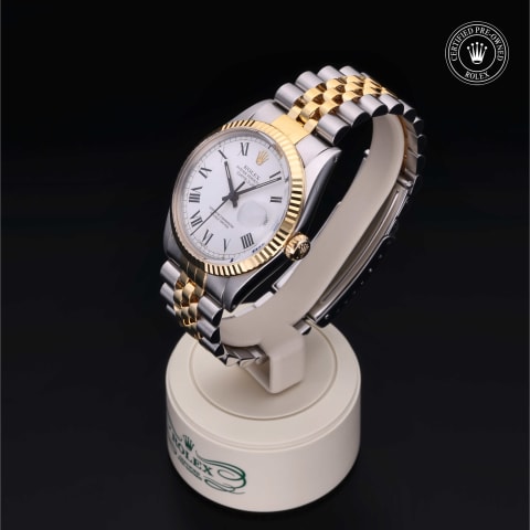 Oyster Perpetual  Datejust 36