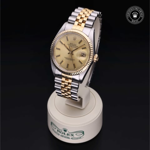 Oyster Perpetual  Datejust 36
