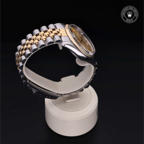 Oyster Perpetual  Datejust 36