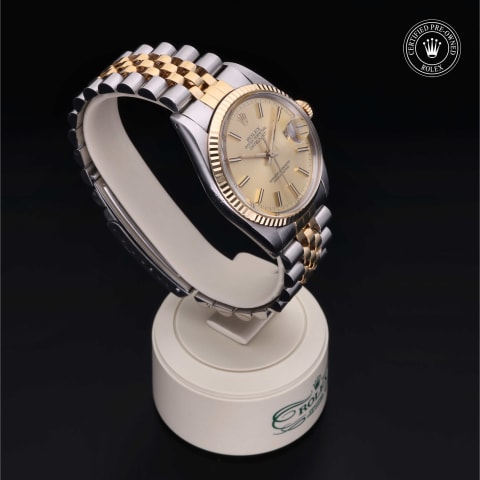Oyster Perpetual  Datejust 36