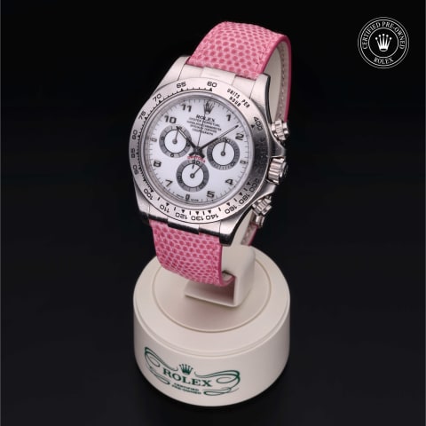 Oyster Perpetual  Cosmograph Daytona