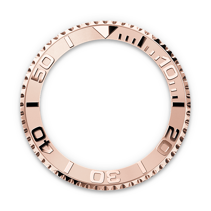 Bidirectional Rotatable Bezel