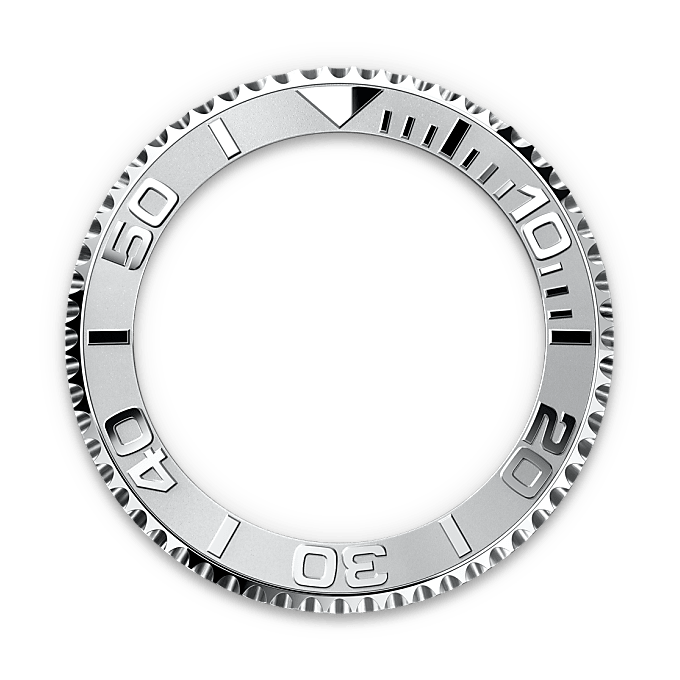 Bidirectional Rotatable Bezel