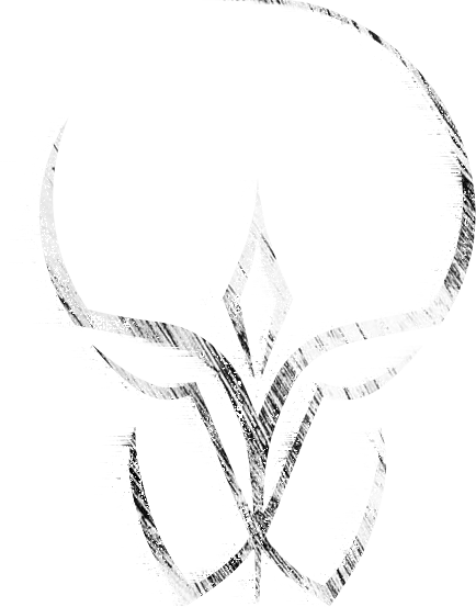 Vanitas Logo