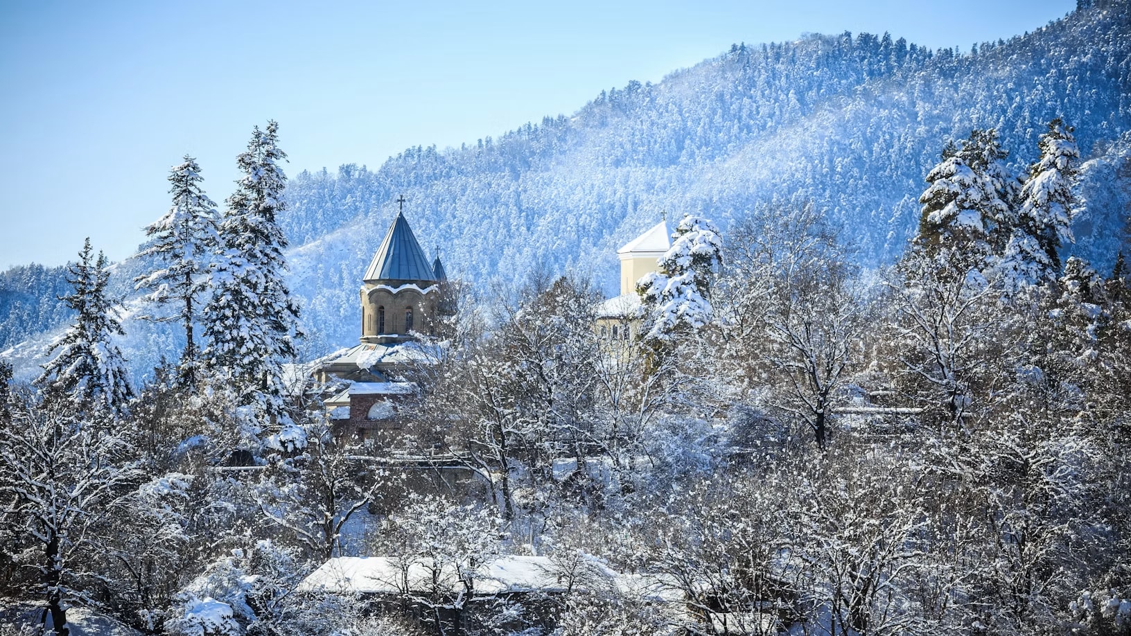 From Gudauri to Bakuriani: Borjomi, Nature & Mountain Retreat