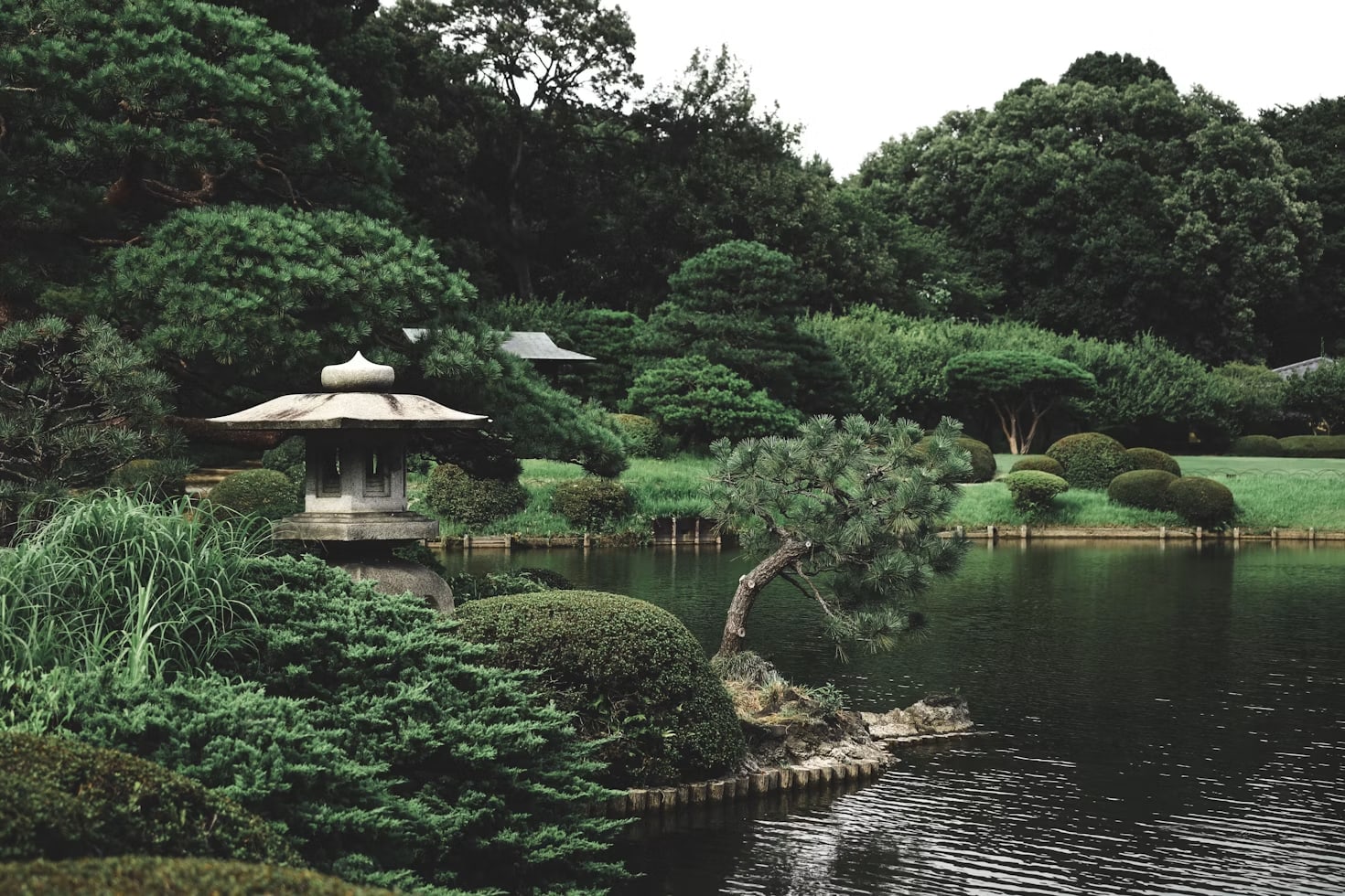 Botanical Garden — Green Paradise