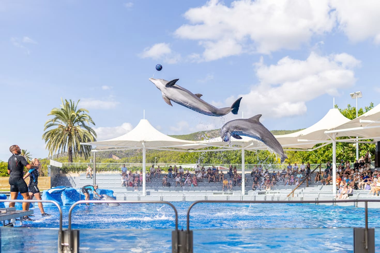 Batumi Dolphinarium