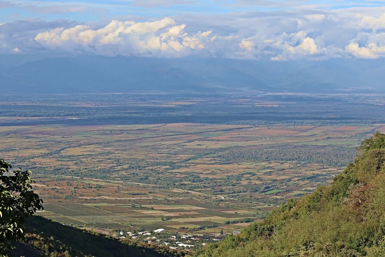 Telavi