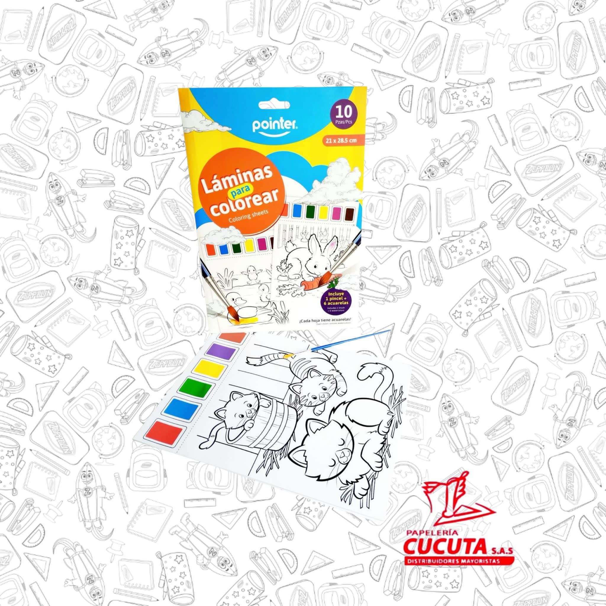 SET PARA COLOREAR CON ACUALERAS X 10 POINTER