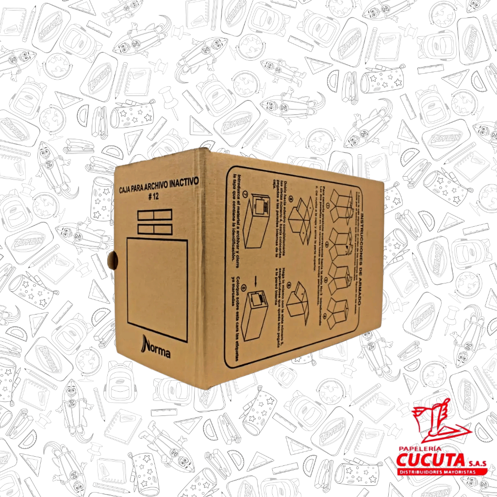 CAJAS DE CARTON LISO ARCHIVO N 12 NORMA vista 3