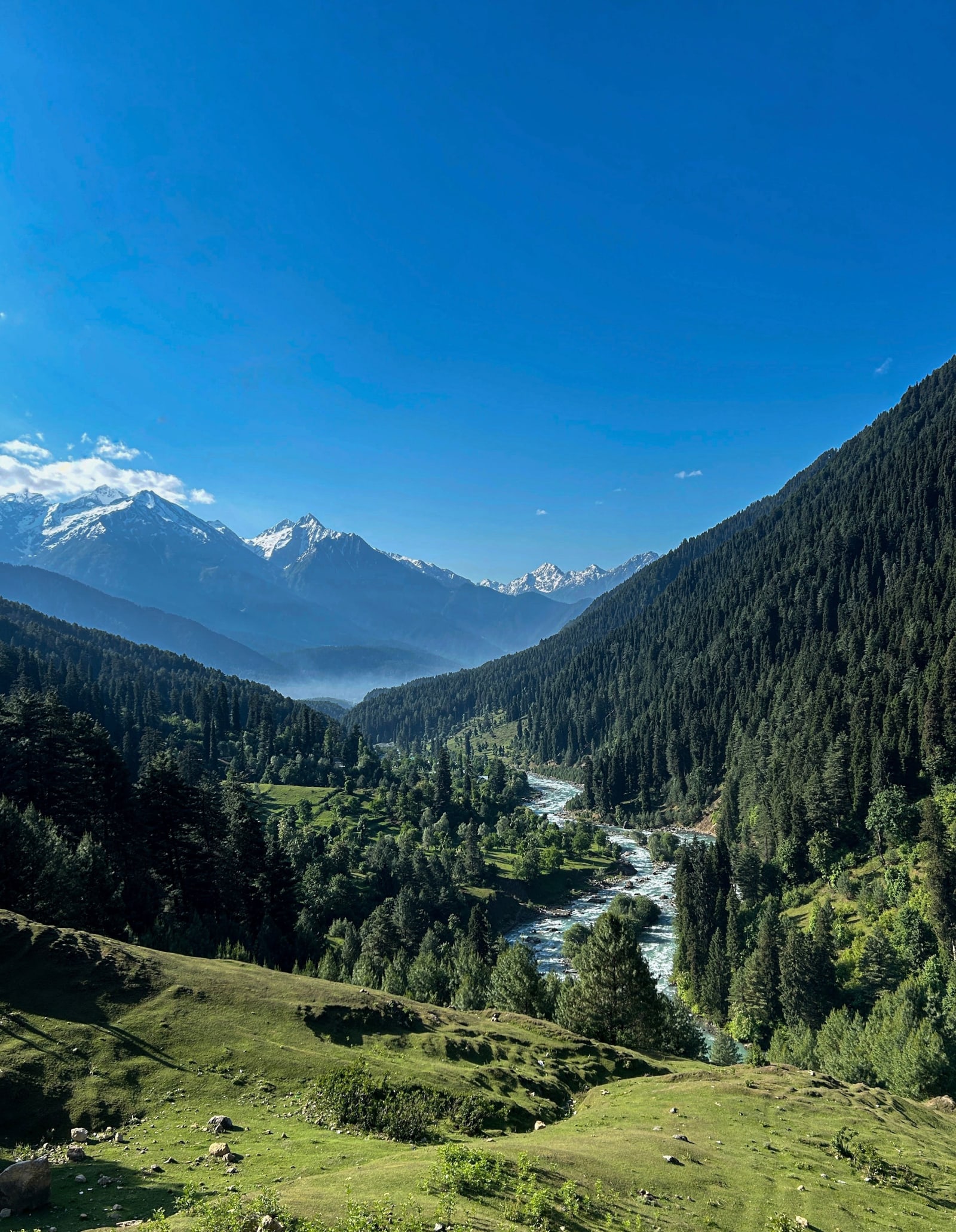 Betaab Valley Pahalgam with pine forests and Lidder river in summer