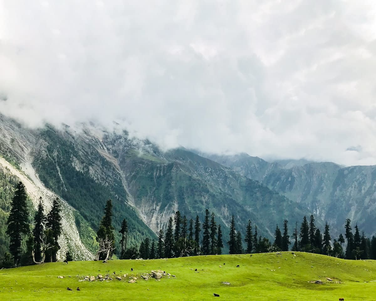 A mid-range Gulmarg hotel room in September with a large window looking directly over the Gulmarg Meadow -- the green alpine grassland stretching toward the Apharwat ridgeline in morning clarity, the gondola cable visible on the left side of the frame, the sky deep blue in the post-monsoon September air, the room interior showing a bukhari stove in the corner with a basket of firewood beside it, warm wood-paneled walls, two beds with Kashmiri woolen blankets in dark red and green, natural morning light from the window