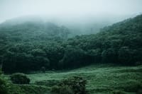 Hirpora Wildlife Sanctuary: The Forest in Shopian That Tourists Almost Never Find