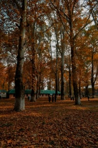 Kashmir in September 2026: The Quiet Month Before the Gold