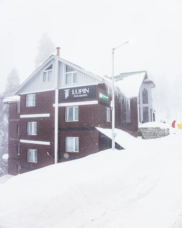 Lupin Gulmarg photo 2