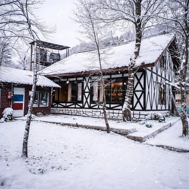 River Retreat Resort photo 5