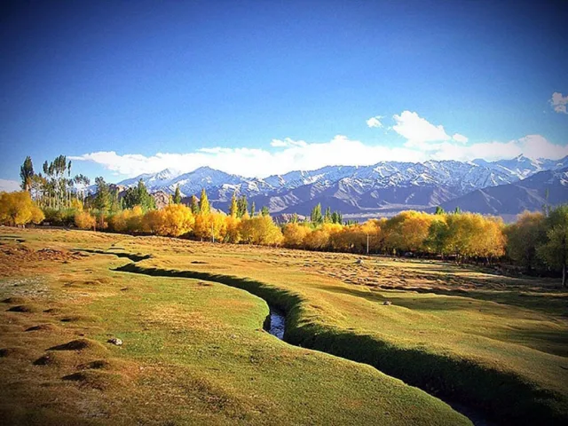 Shambhala Resort photo 4