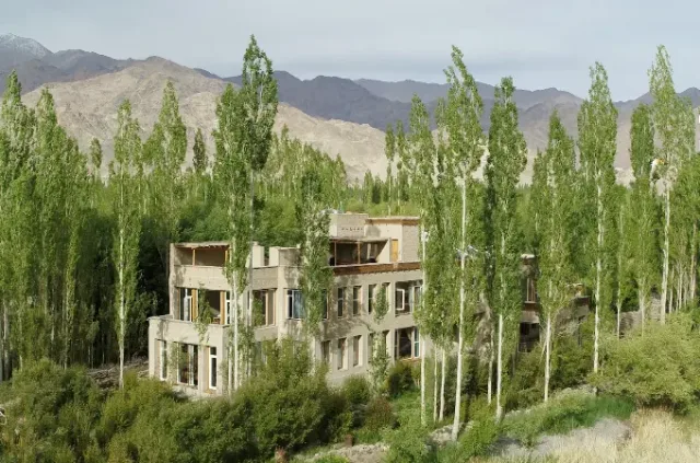 Shel Ladakh photo 5