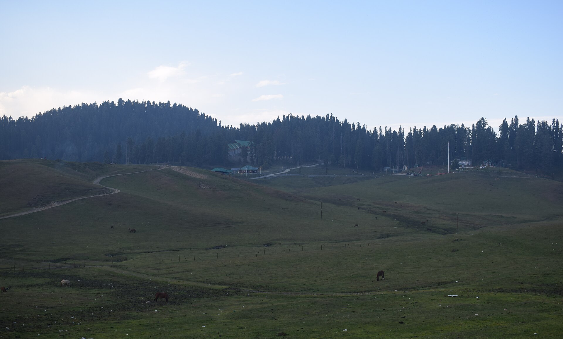 The green summer meadow at Gulmarg, fringed by pine forest.