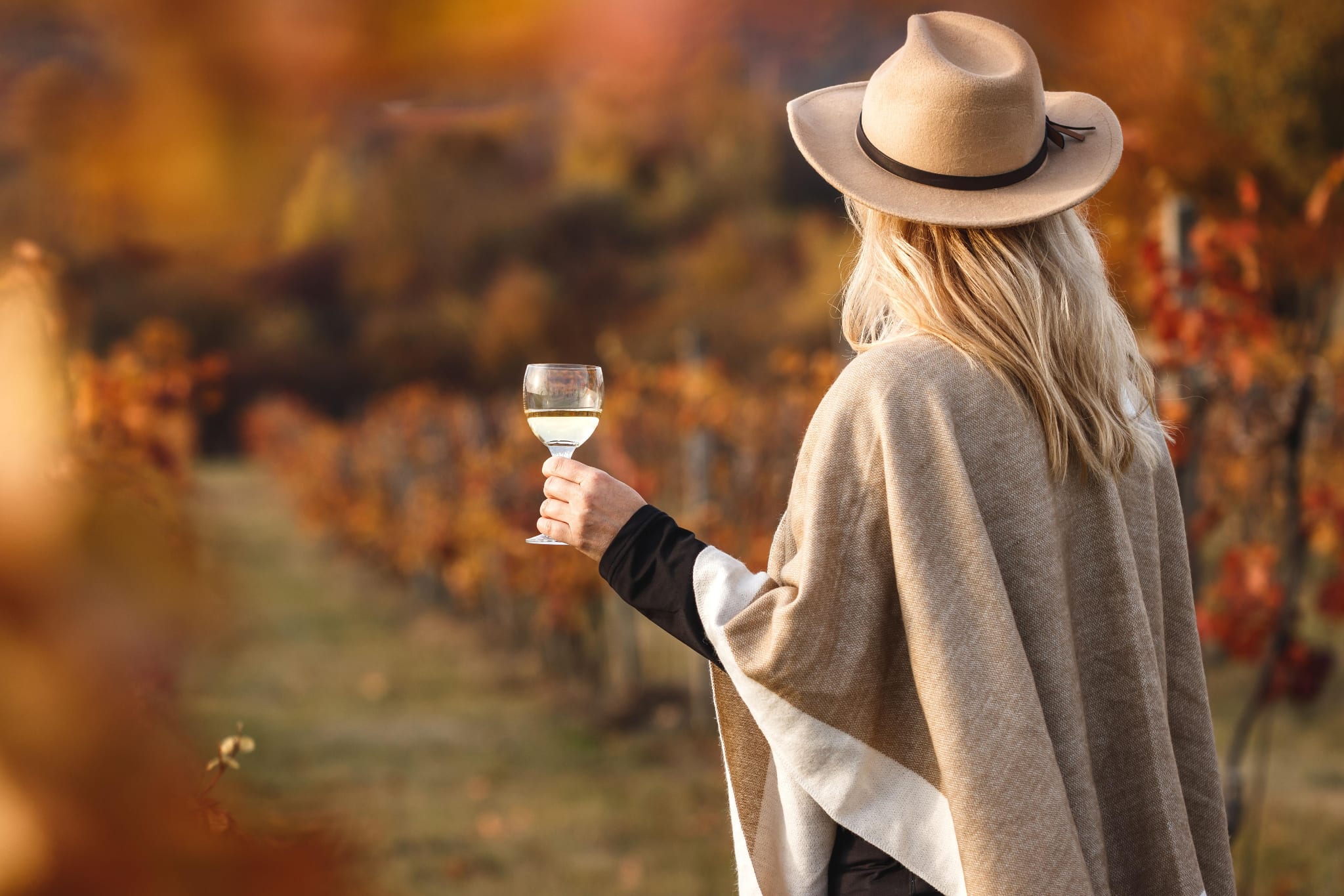 Escapade automnale et découverte des vignobles des Cantons-de-l'Est