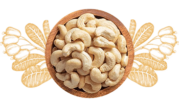 Cashew Nuts